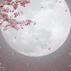 サヨナラグリッタ